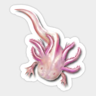 Illustrated Albino Axolotl Sticker